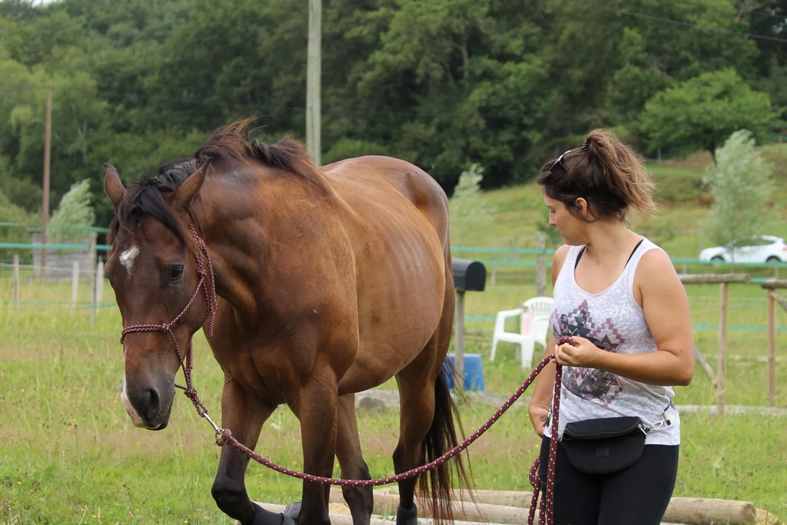 Pauline mène un cheval bai en licol le long d’une lice, dans un paddock