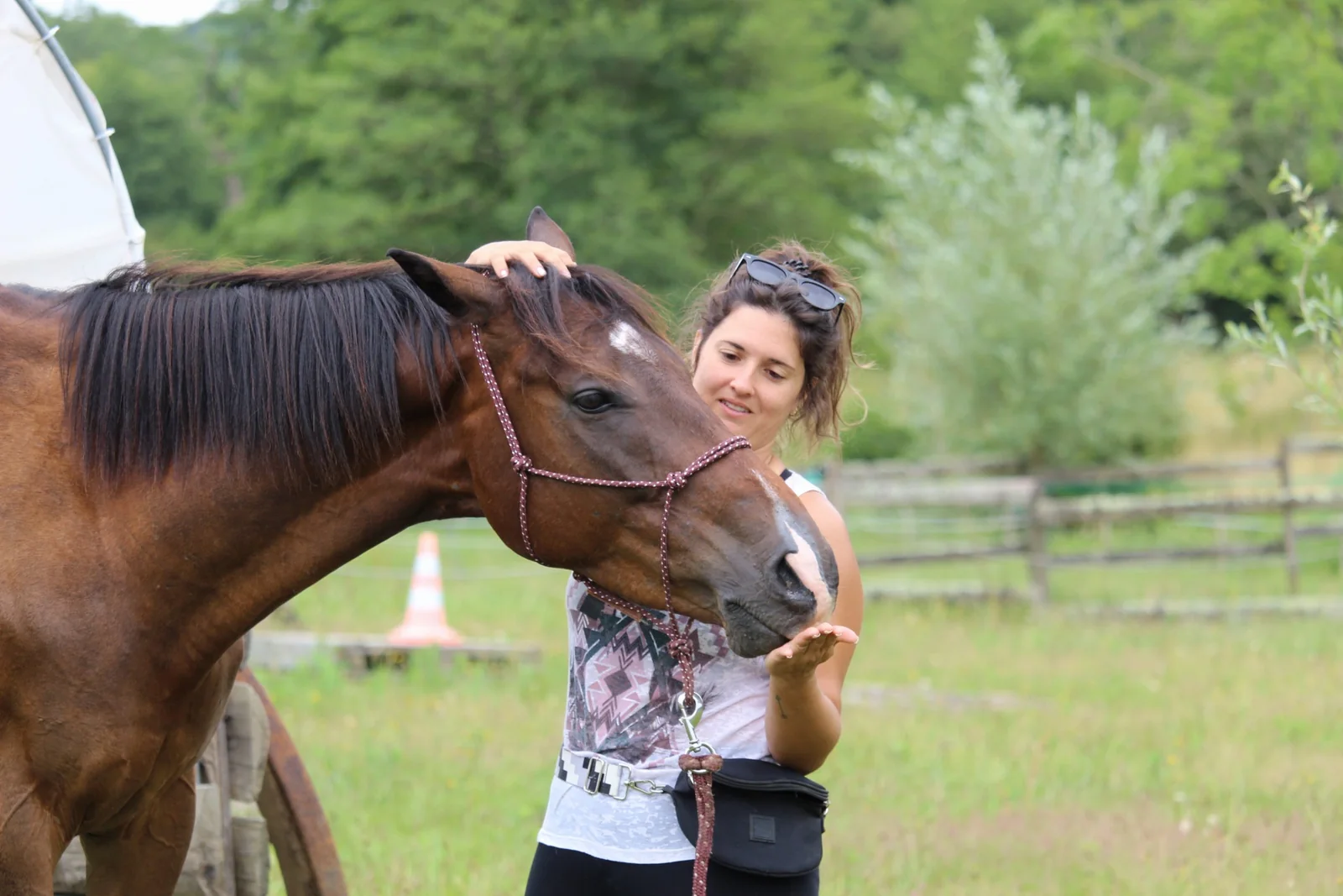 Cavalière au pré avec son cheval, scène d'accompagnement post-achat