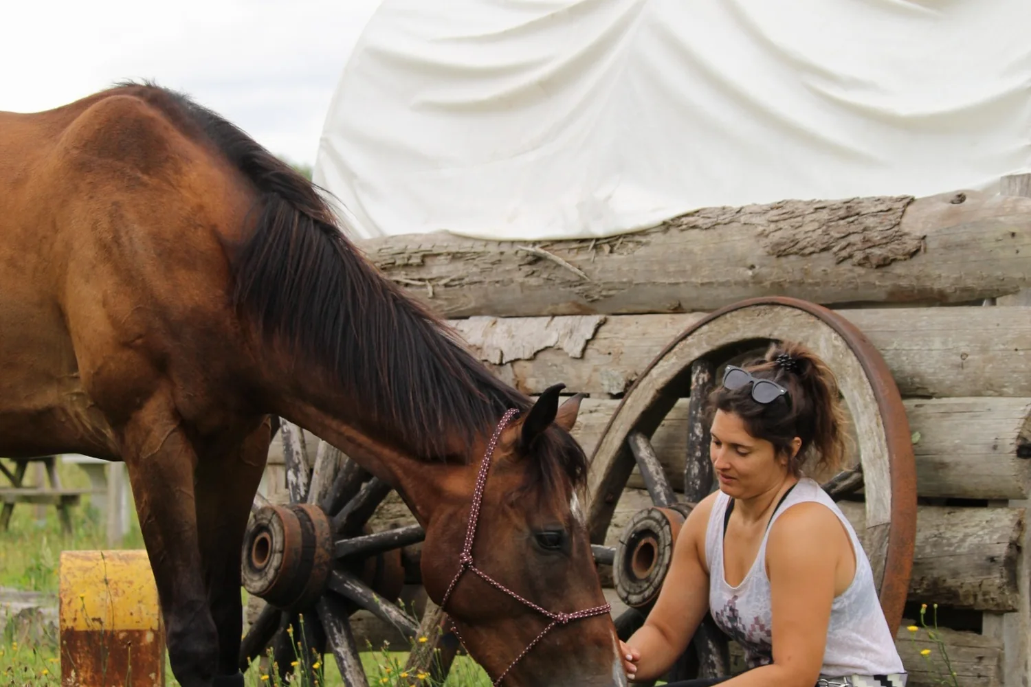 Pauline assise dans l'herbe près de la roulotte, le cheval baisse la tête vers sa main