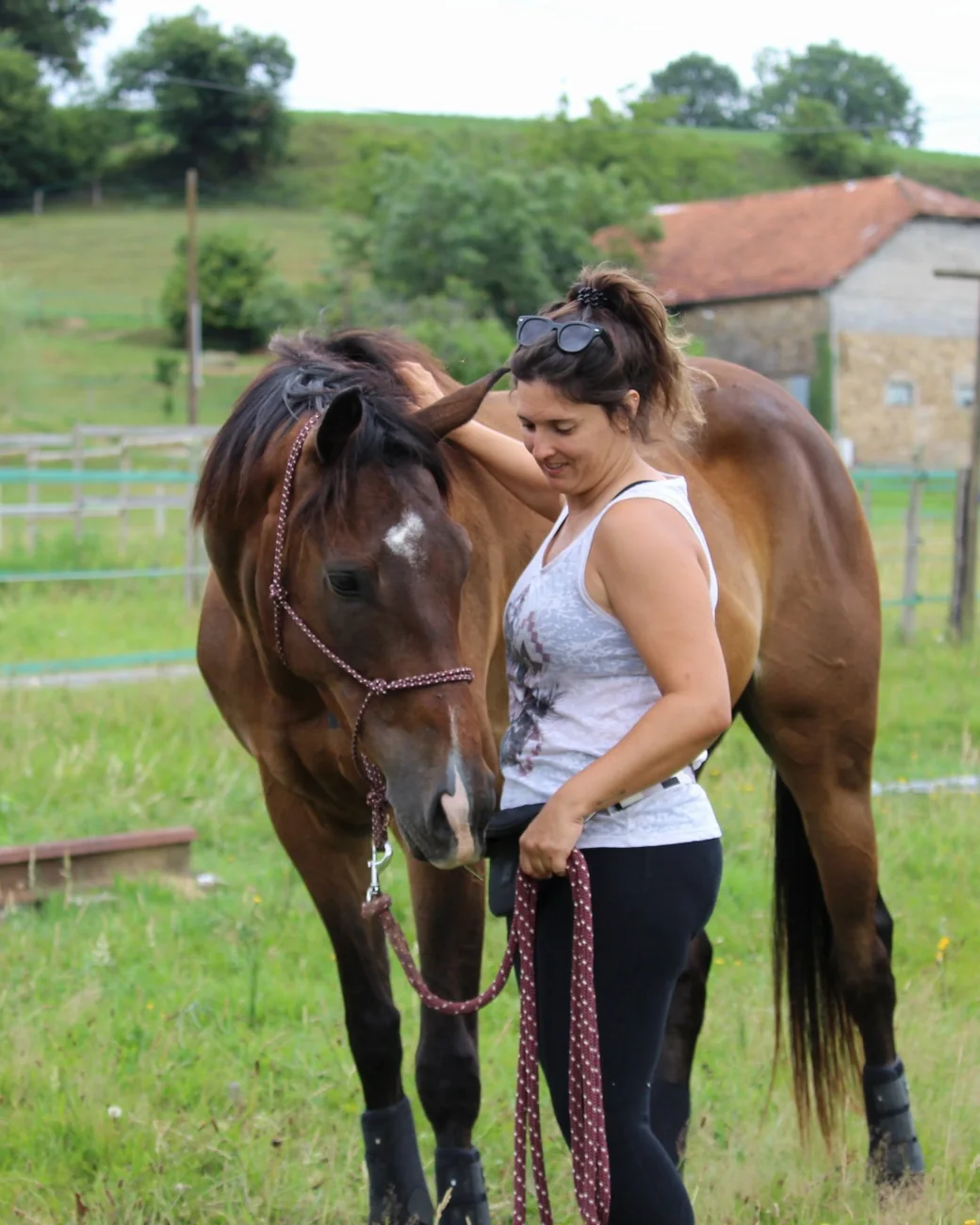 Le cheval pose sa tête tout contre Pauline, un moment de confiance