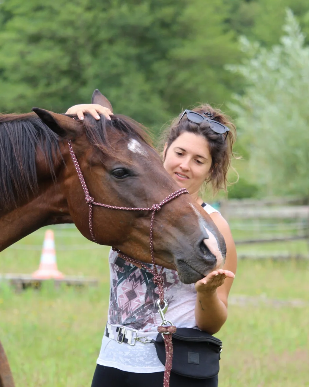 Le cheval vient chercher la main de Pauline, un moment de complicité