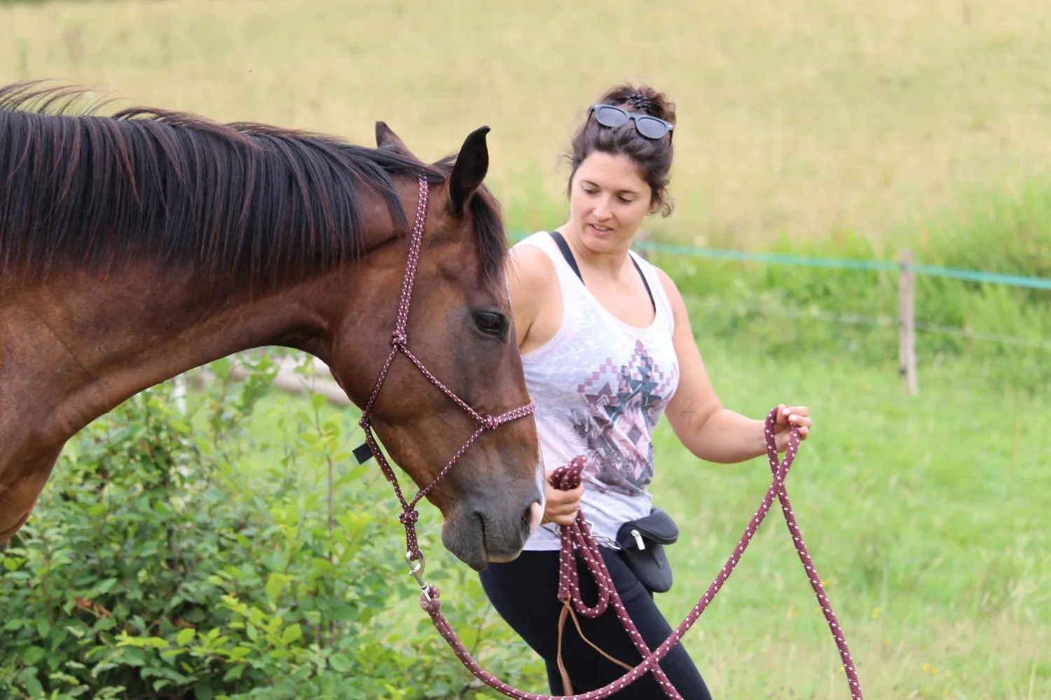 Pauline et le cheval marchent côte à côte dans le pré