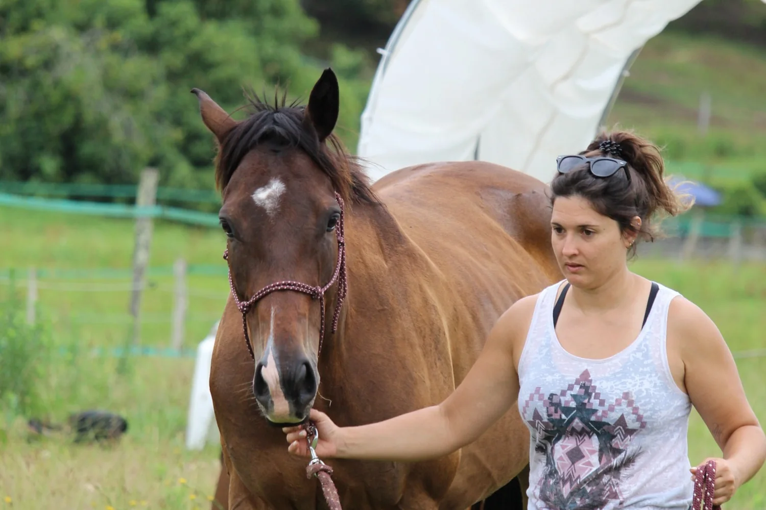Pauline mène le cheval en main près de la roulotte