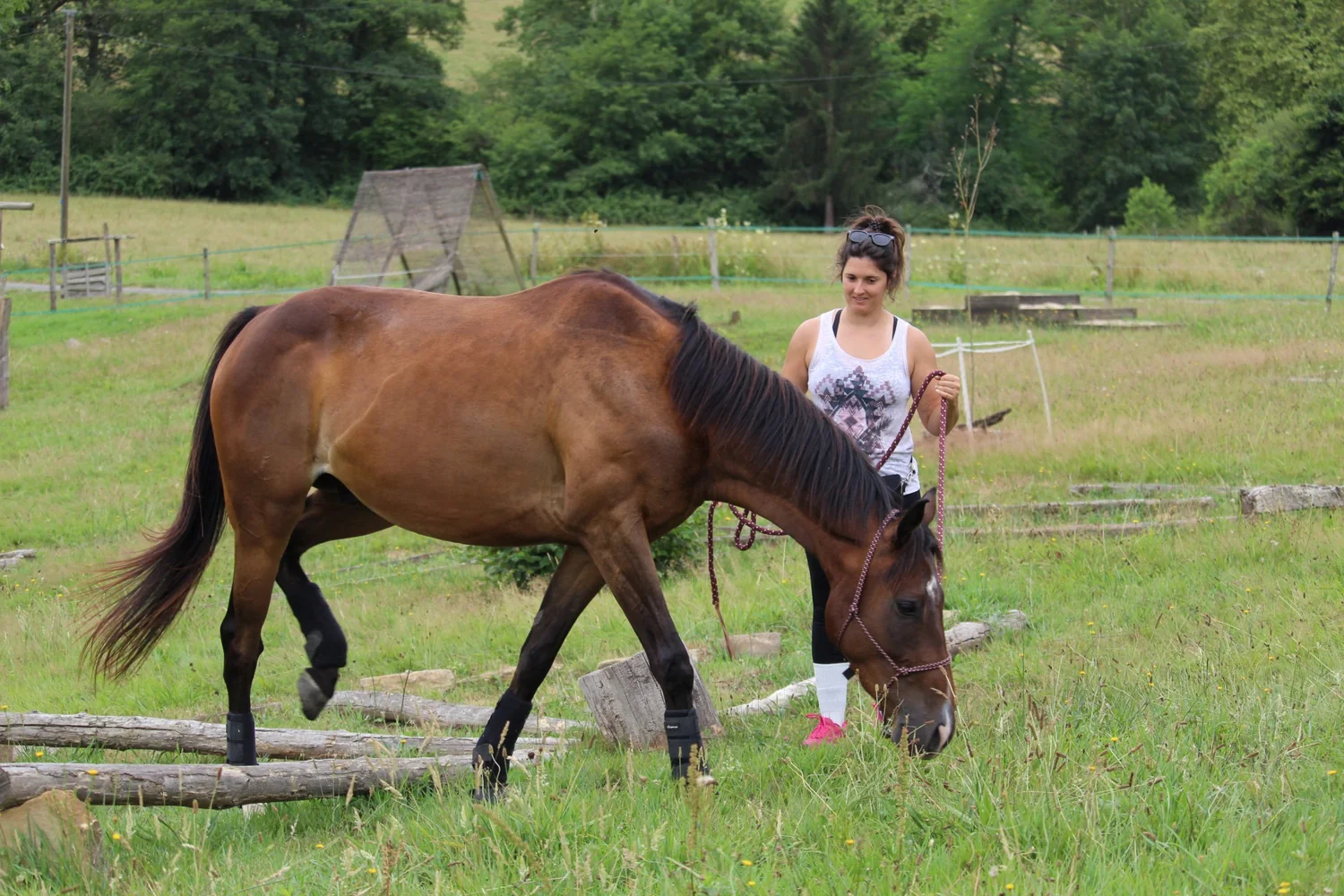 Pauline marche en longe avec un cheval bai qui baisse la tête, dans un pré